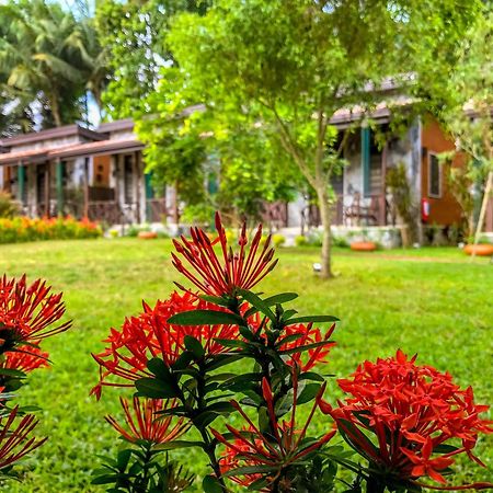 Villa Pinnawala Pinnawala  Extérieur photo