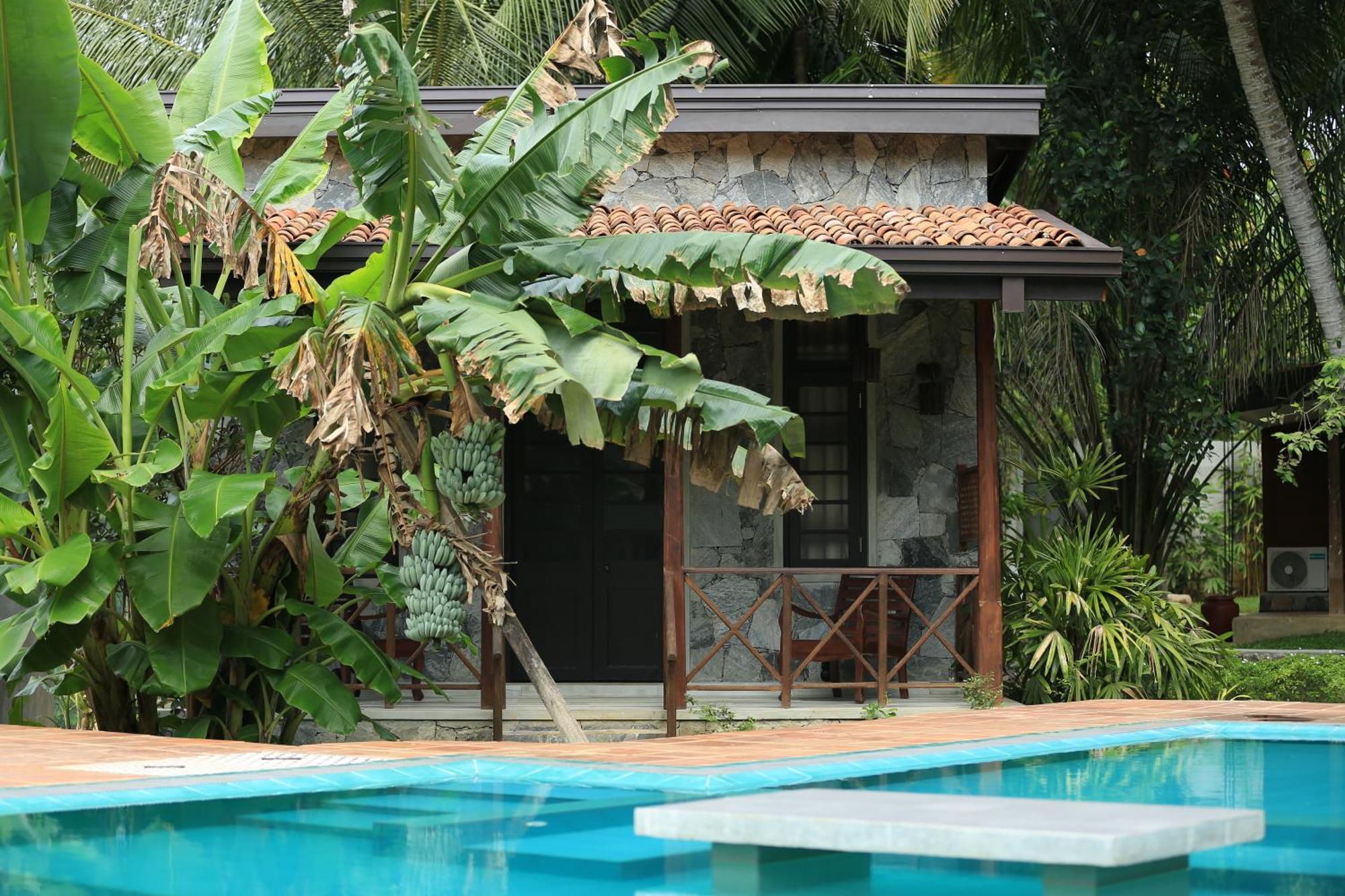 Villa Pinnawala Pinnawala  Extérieur photo
