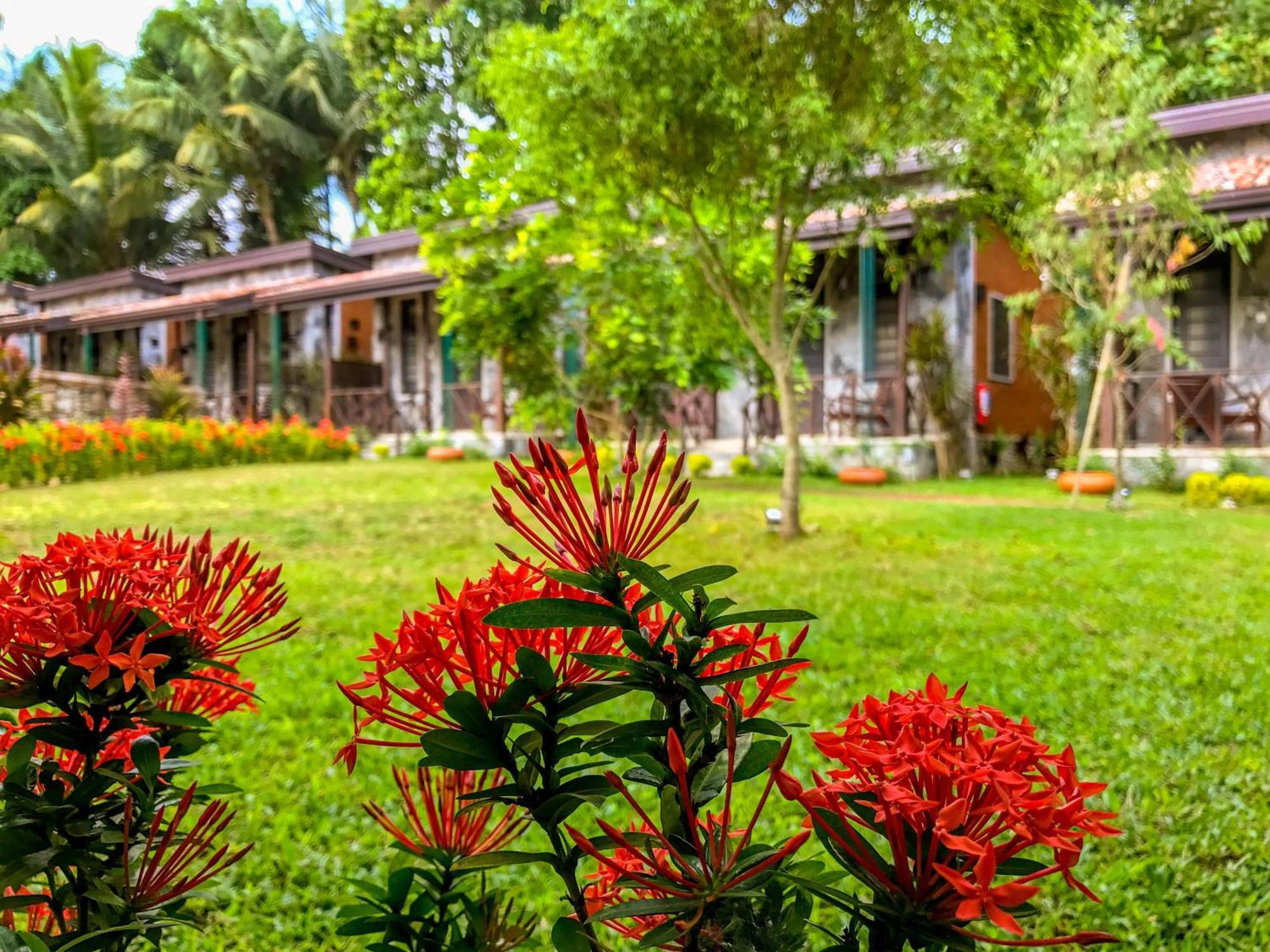 Villa Pinnawala Pinnawala  Extérieur photo