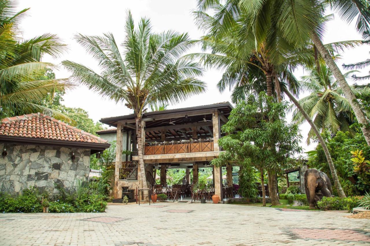 Villa Pinnawala Pinnawala  Extérieur photo